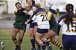 Lethbridge Sport Teams