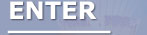 Enter Website