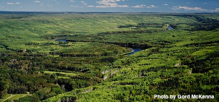 Live Close to Nature, Photo by Gord McKenna