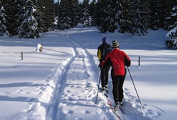 Cross Country Skiing and Other Outdoor Activities