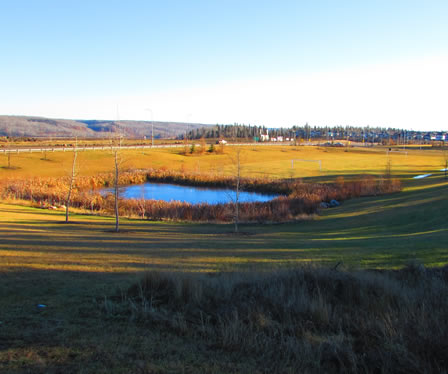 Stone Creek
