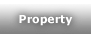 menu_property.png